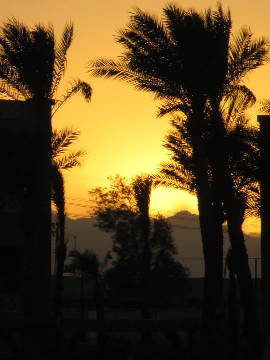 Ausblick Pickalbatros Aqua Park Resort - Hurghada