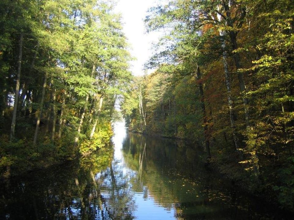 Werbellinsee Waldseehotel Frenz