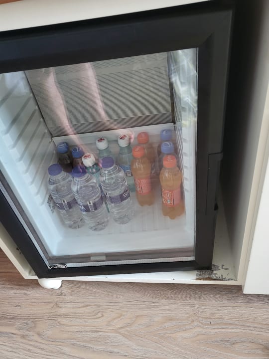 Zimmer Well Palace Side