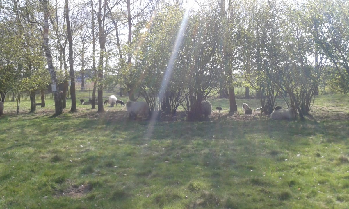 Sport & Freizeit Ferienpark Landal Aelderholt