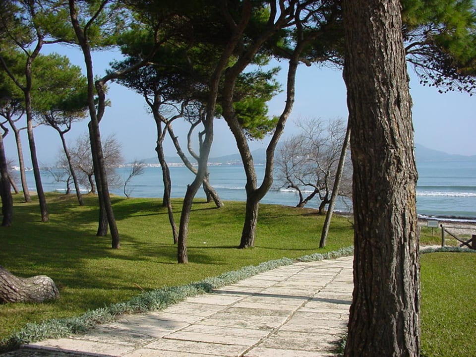 Hotelgarten Iberostar Waves Playa de Muro