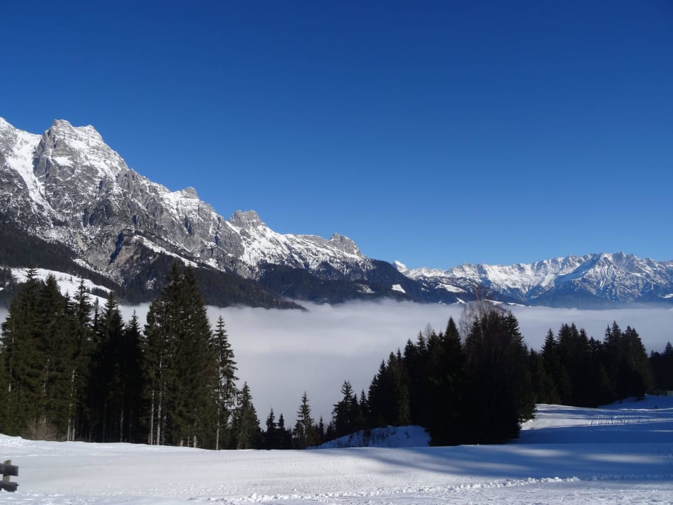Ausblick Holzhotel Forsthofalm