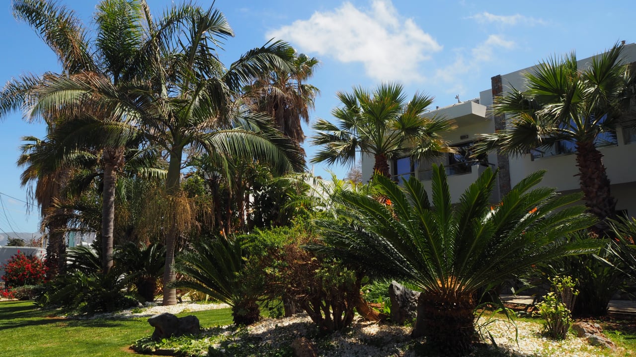 Gartenanlage Sentido Kyknos Beach Adults Only 16+