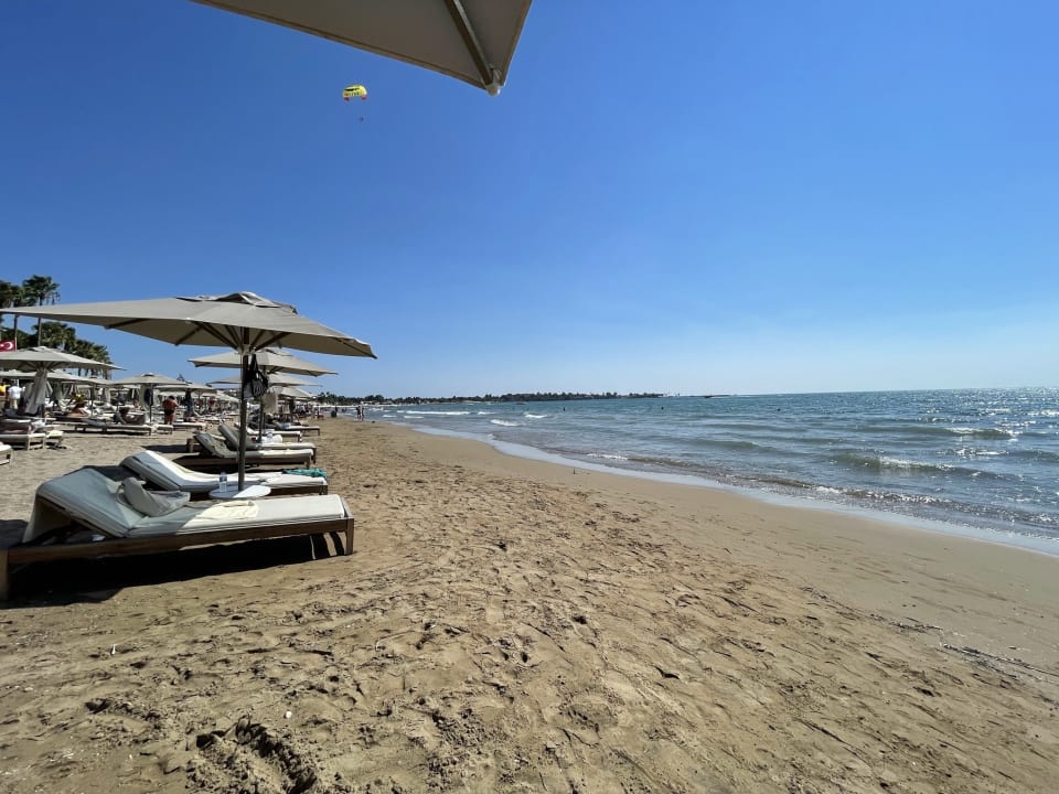 Strand Acanthus Cennet Barut Collection