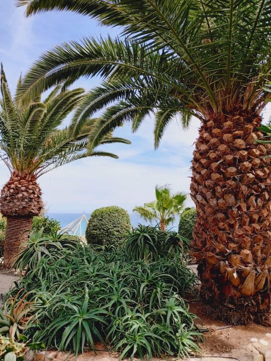 Gartenanlage Marina Playa Suite Hotel