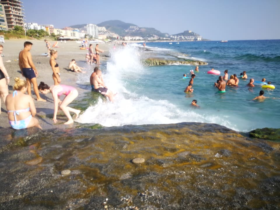 Strand Bieno Club SVS