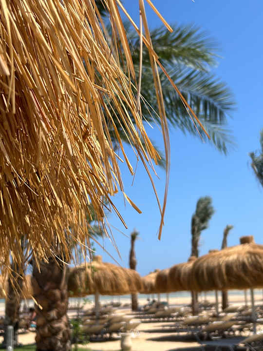 Strand JAZ Elite Asteria