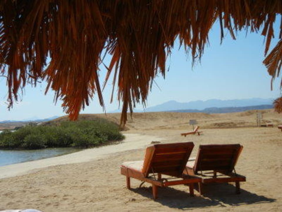Tagsüber Schatten und abends Sterne gucken Hotel Mangrove Bay Resort