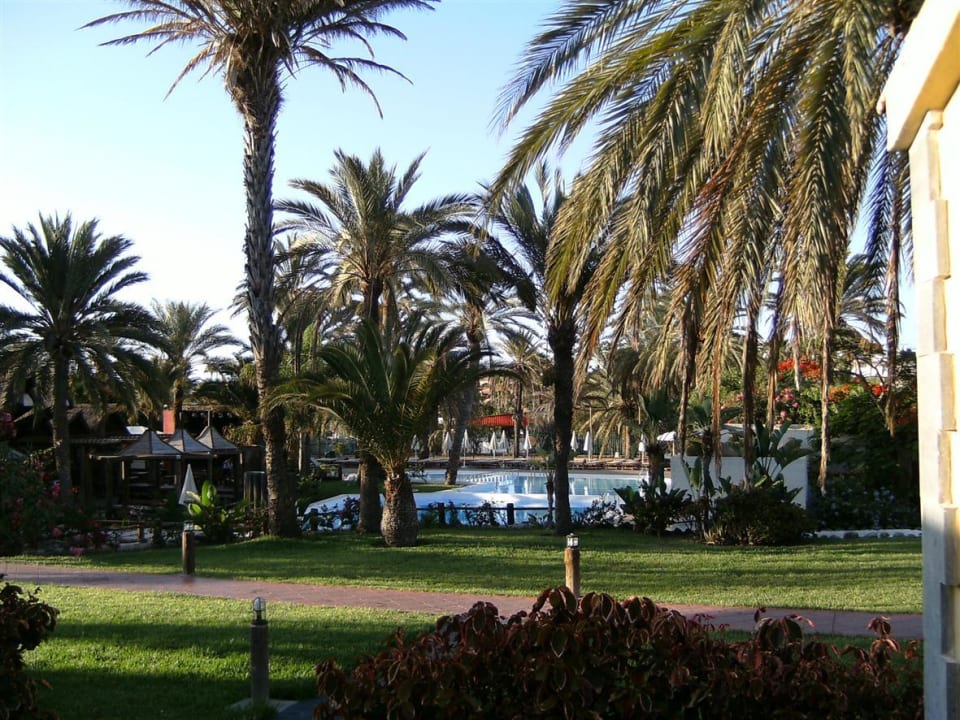 Blick zum Pool vom Bungalow HL Miraflor Suites Hotel