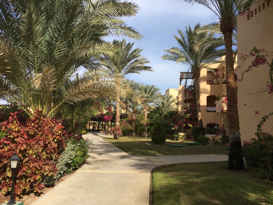 Hotelanlage Steigenberger Coraya Beach - Adults only