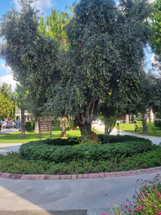 Gartenanlage Marvida Family Eco