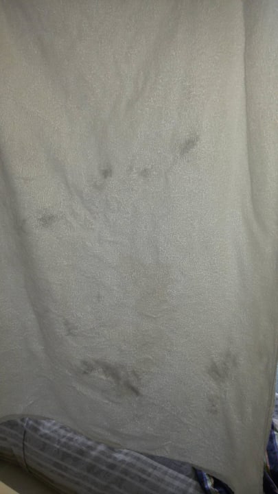 "Frisches Handtuch" im Zimmer Center Parcs Park Nordseeküste