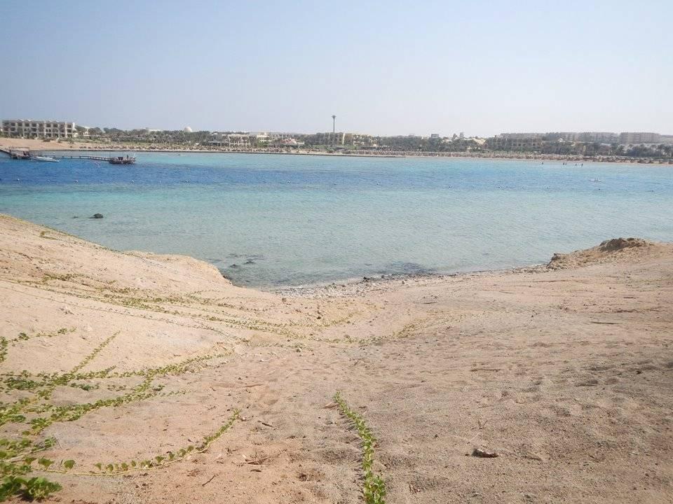 Blick aufs Riff von oben Steigenberger Coraya Beach - Adults only