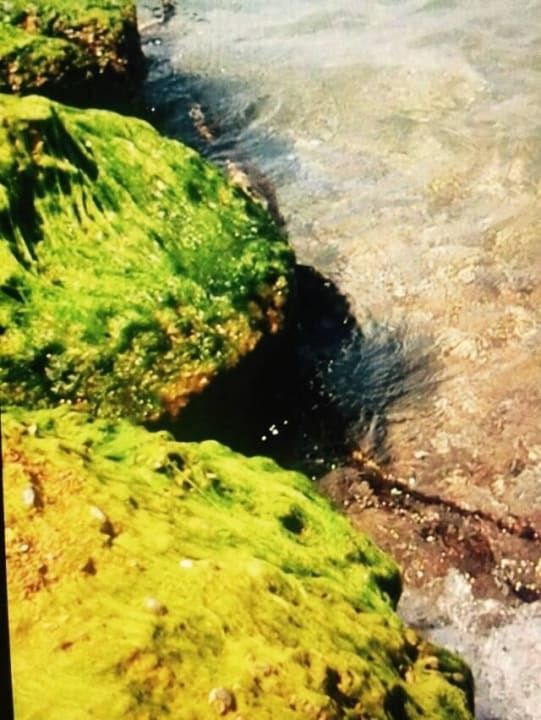 Felsen Asteria Family Resort Side