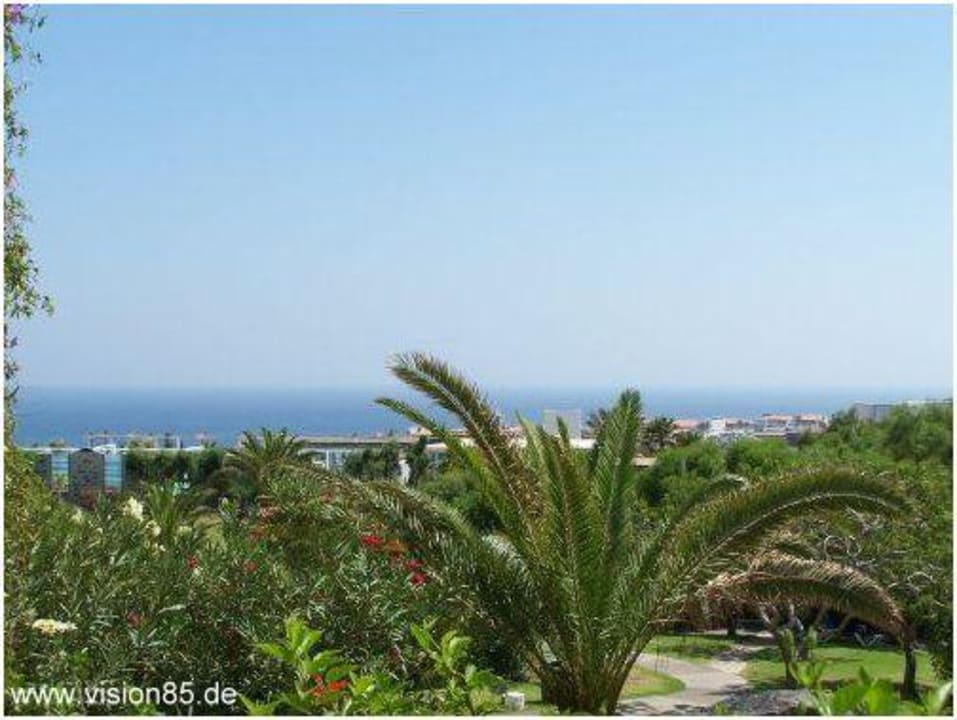 Blick von der Terrasse allsun App.-Hotel Esquinzo Beach