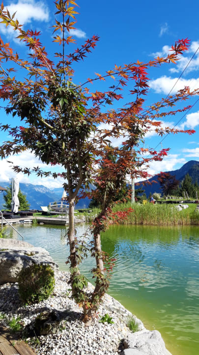 Gartenanlage Alpinresort Schillerkopf