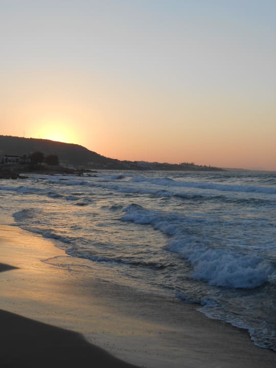 Sonnenuntergang Cactus Royal