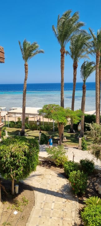 Gartenanlage Makadi Spa - Adults only