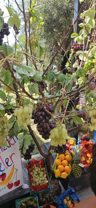 Gartenanlage Dream Water World