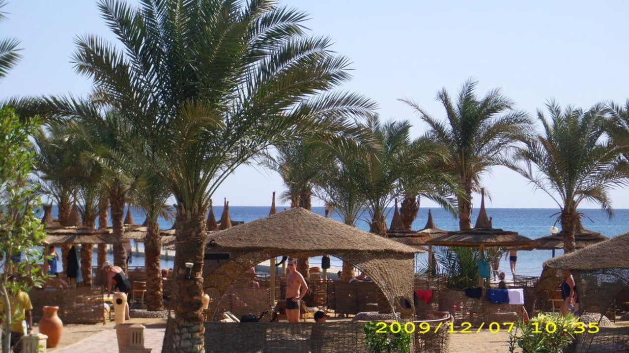 Strandblick Pickalbatros Palace Resort