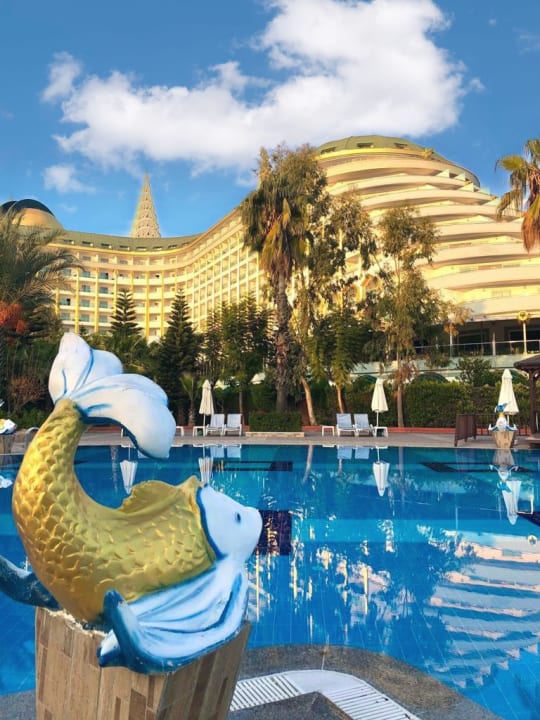 Pool Hotel Delphin Imperial