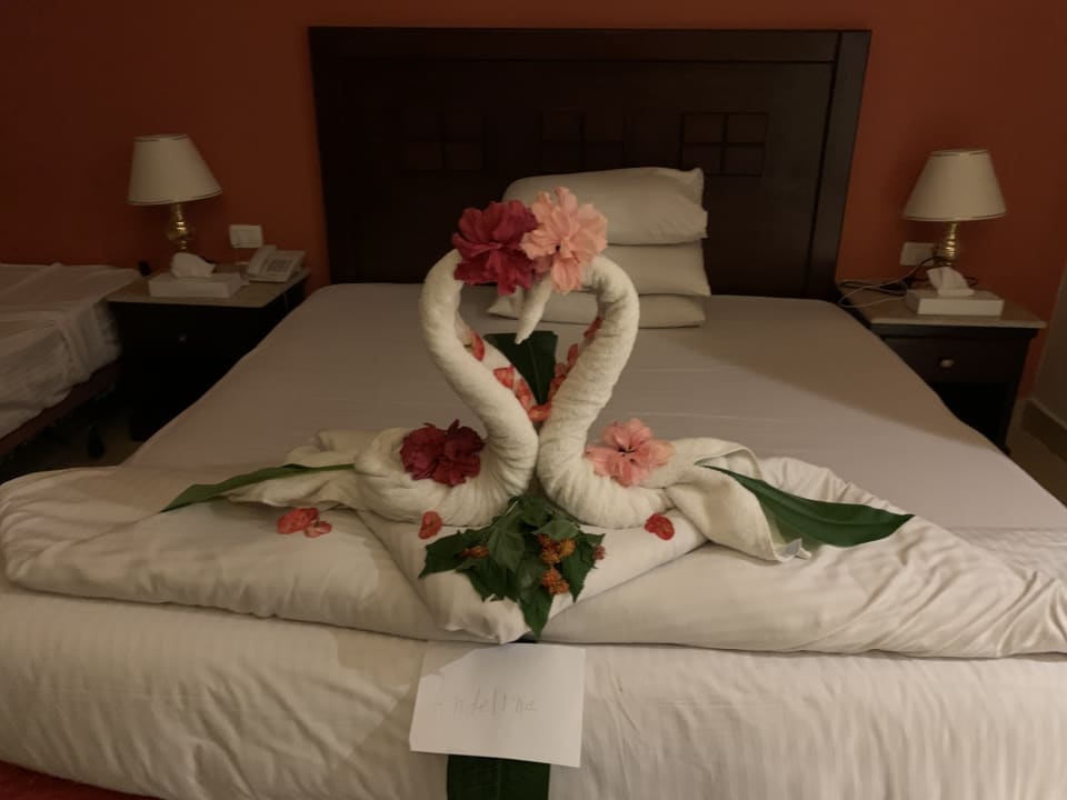 Zimmer Riviera Aqua Park Resort