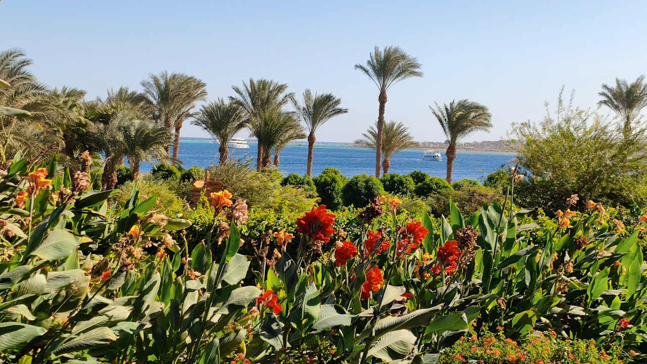 Außenansicht Fort Arabesque - The West Bay