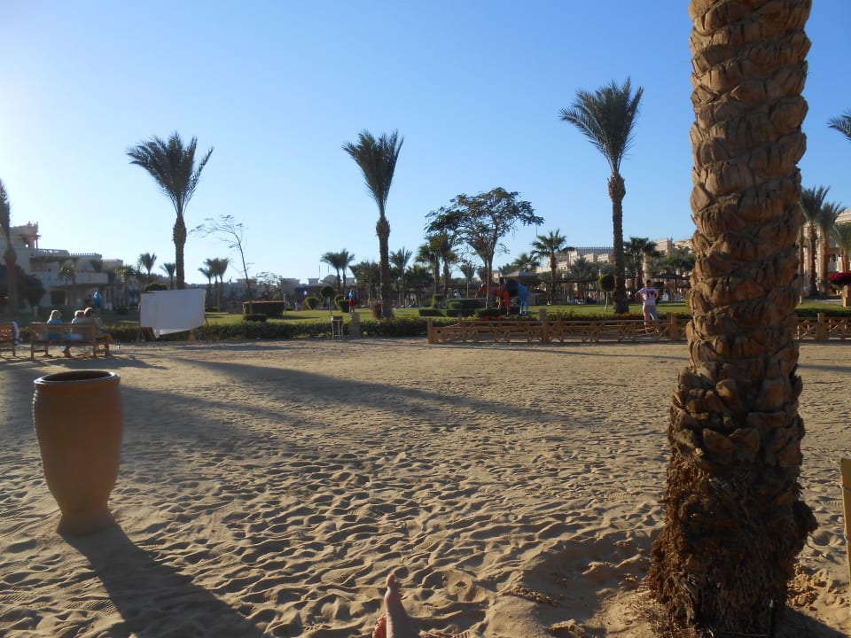 Hotelstrand Pickalbatros Palace Resort