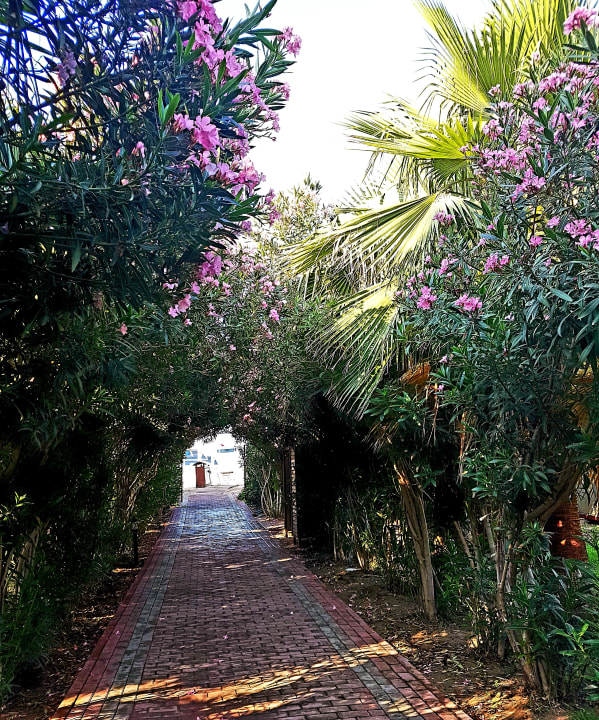 Gartenanlage Seaden Sea World Resort & Spa