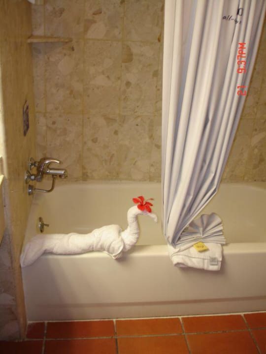 Die Dusche Marien Puerto Plata