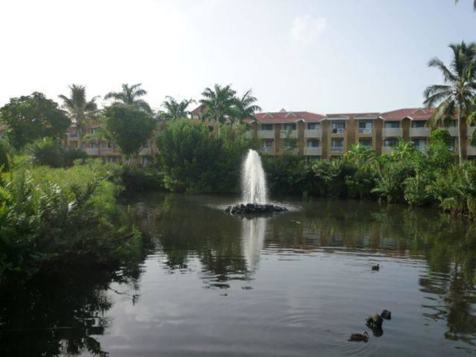 See Hotel Viva Dominicus Palace by Wyndham-All Inclusive Resort