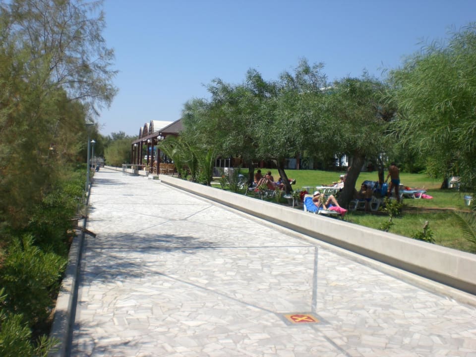Gartenanlage Pegasos Deluxe Beach Hotel