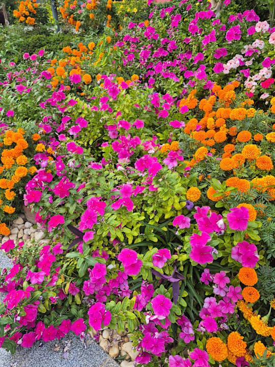 Gartenanlage Mylome Luxury Hotel & Resort