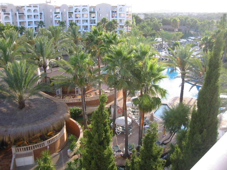 Blick zur Poolbar Protur Safari Park Aparthotel