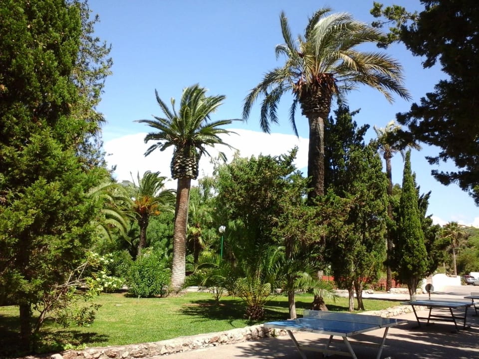 Zwischen Rezeption und Pool Flipflop Cala Romantica
