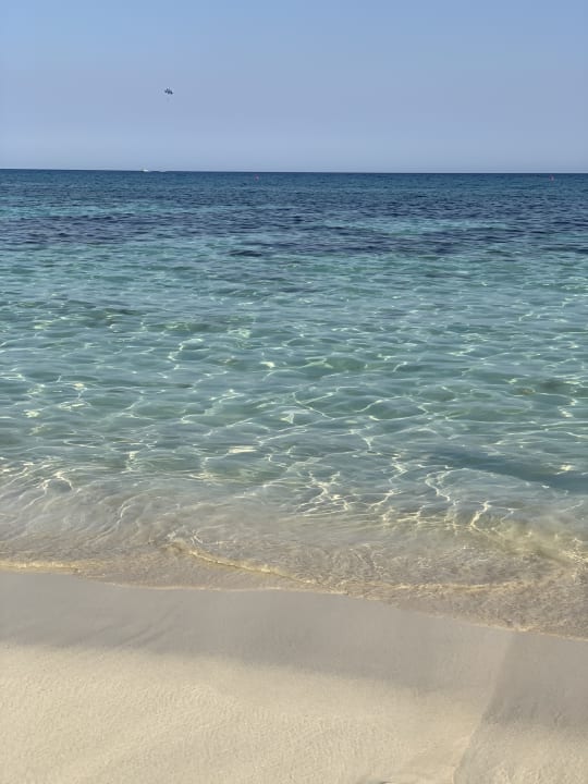 Strand Asterias Beach