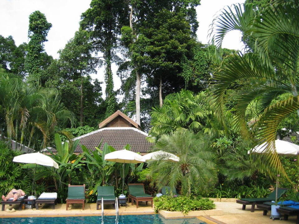Pool The Leaf on The Sands by Katathani