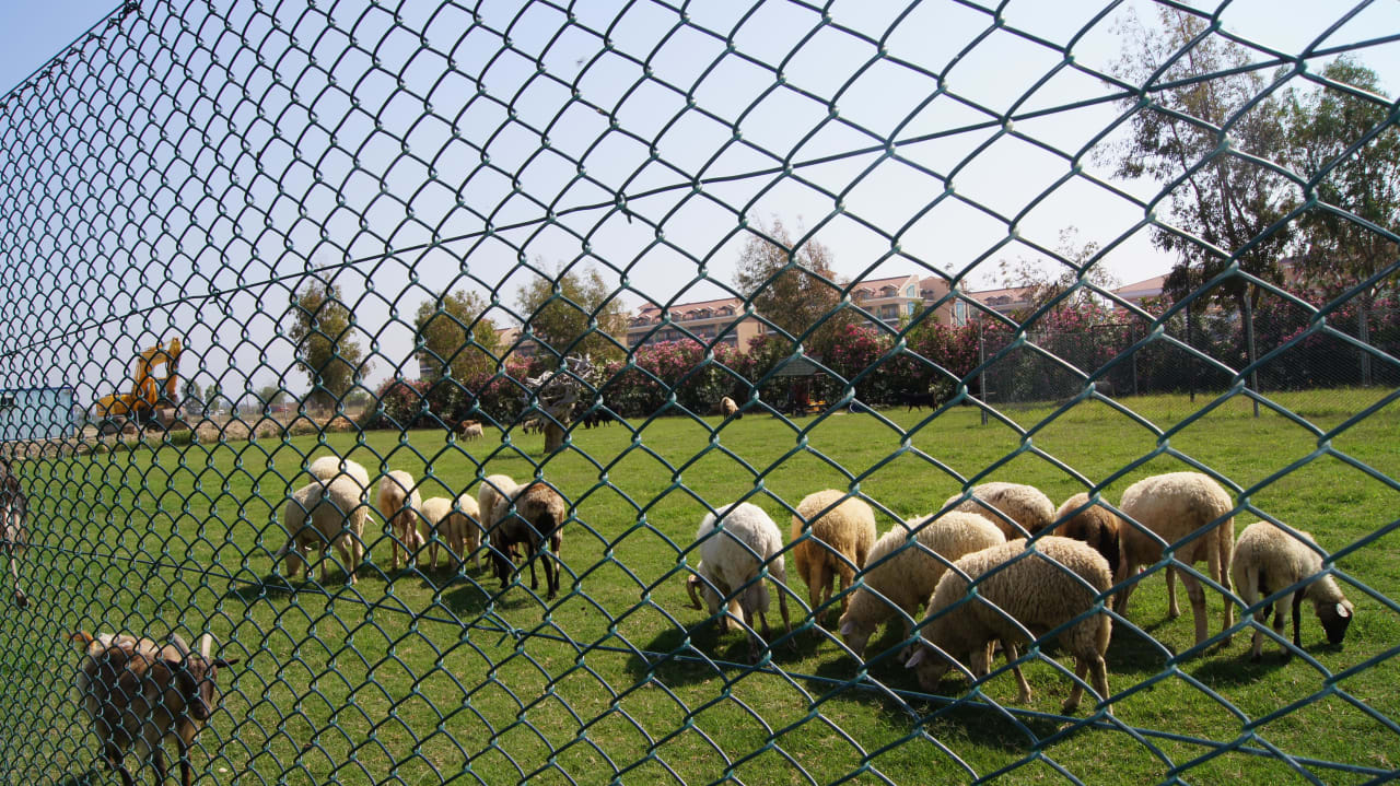 Zoo Belek Beach Resort Hotel