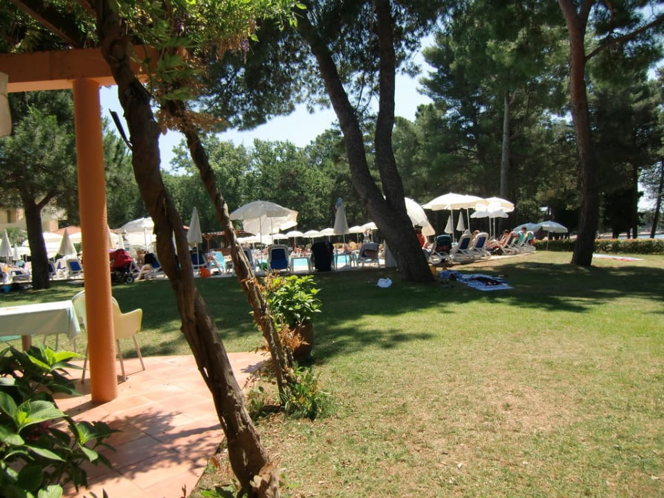 Gepflegtes Gartenambiente Hotel Aurora Plava Laguna