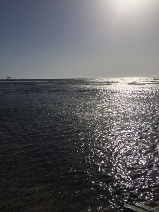 Strand Parrotel Beach Resort