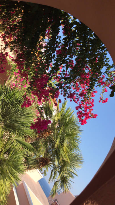 Gartenanlage Mitsis Rodos Village