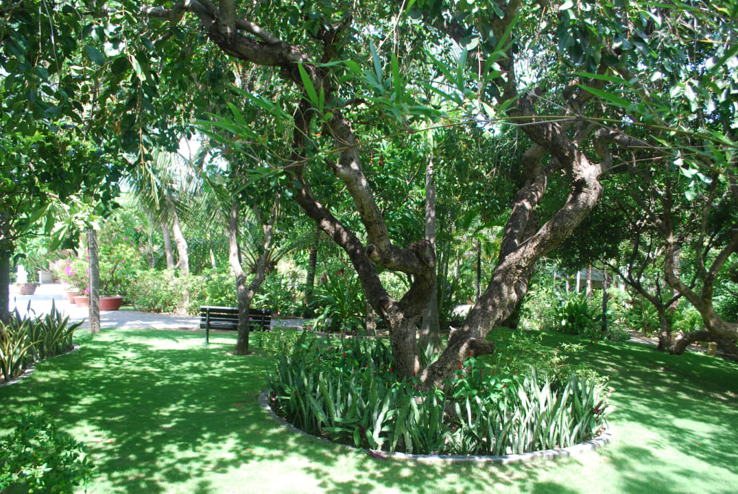 Gartenanlage Allezboo Beach Resort & Spa