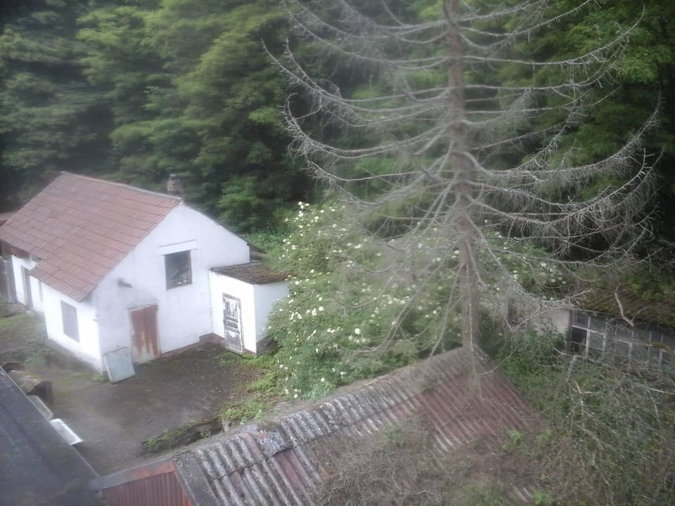 Ausblick zum Hof Hotel Badstube