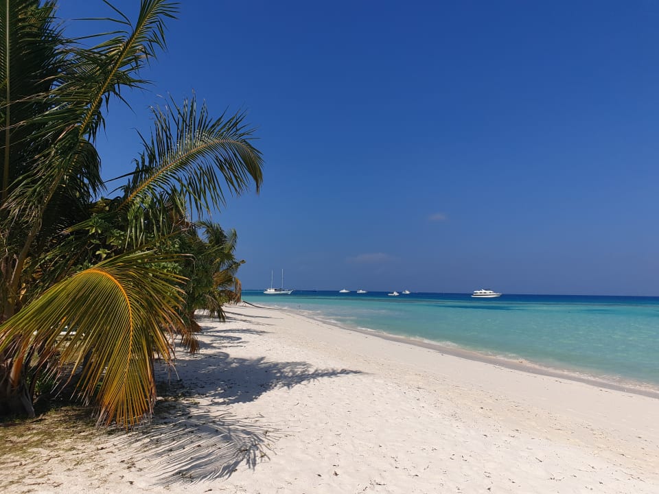 Strand Meeru Maldives Resort Island