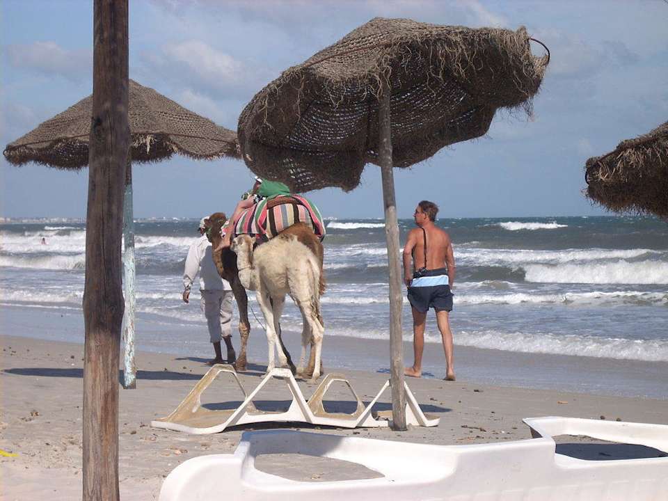 Gib mir Geld und Du darfst reiten Hotel El Mouradi Cap Mahdia
