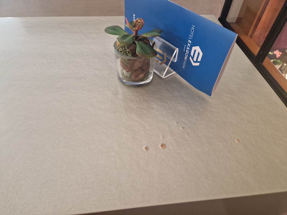 Lobby Hotel Exagon Park