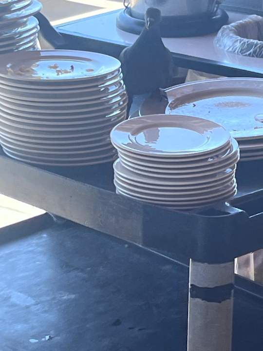 Gastro Gloria Palace Royal Hotel & Spa