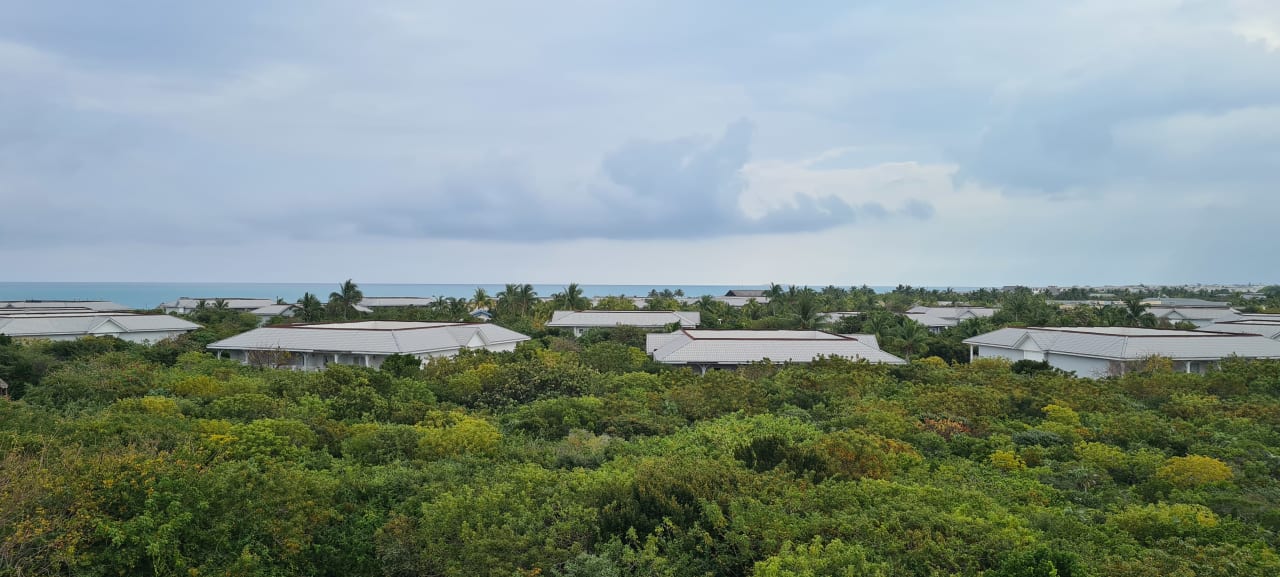 Ausblick Melia Las Dunas