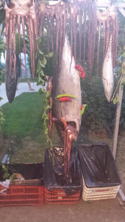 Fisch Grand Seker Hotel
