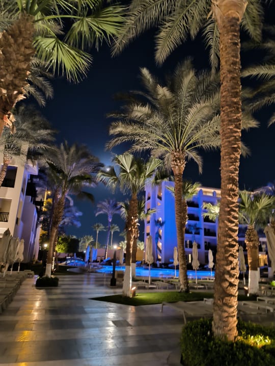 Gartenanlage Steigenberger Aqua Magic